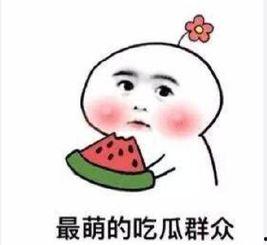 吃瓜群众翟小羊,吃瓜群众的趣味生活与独特见解