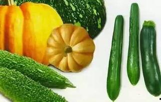 东梨君吃瓜,揭秘娱乐圈幕后故事