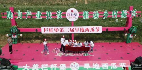 吃瓜栏杆学校,校园生活趣味横生