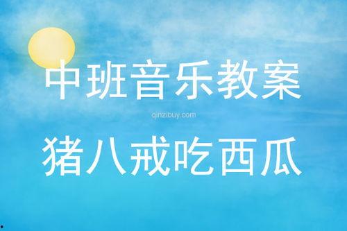 吃瓜活动反思,反思与成长之旅