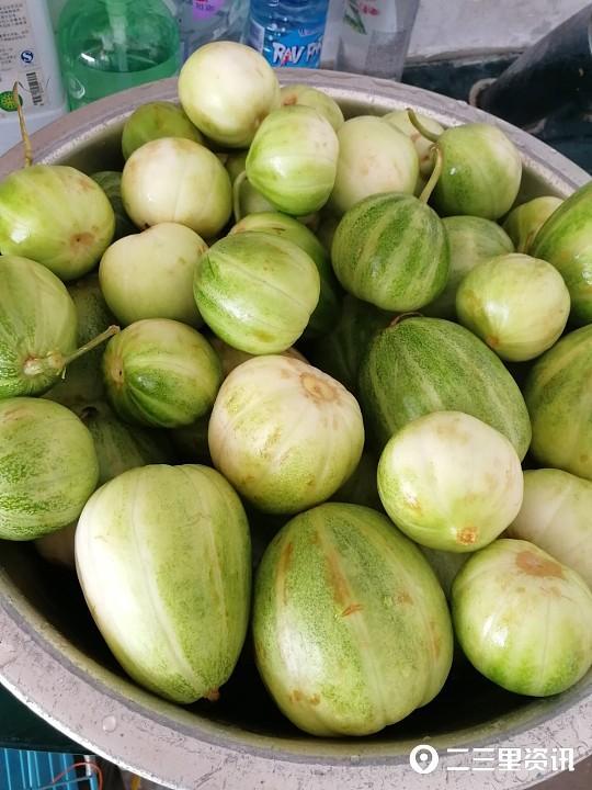 物酱小屋吃瓜,揭秘娱乐圈吃瓜背后的故事