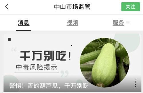 梦见路边摘葫芦瓜吃,路边摘葫芦瓜的奇幻之旅