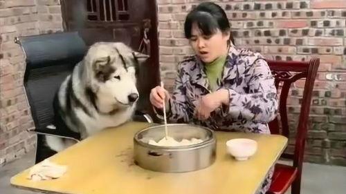 洛洛吃瓜前排,揭秘娱乐圈幕后风云