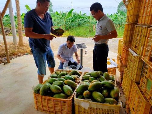 我只想安静吃瓜快穿,跟随“只想安静吃瓜”的快穿之旅
