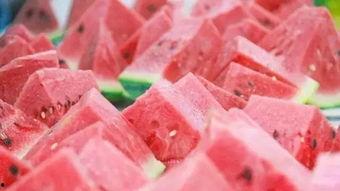 每日大赛免费吃瓜,免费瓜果盛宴等你来尝！