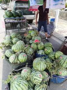 会东晚上吃瓜事件,一场意外的美食争议