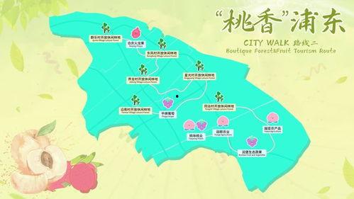 每日吃瓜回家路线,探寻城市风景线