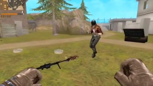 穿越火线圈吃瓜,网线中的瓜田，揭秘虚拟世界的真实故事