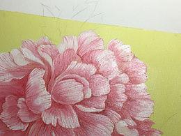 牡丹可以吃瓜,探寻牡丹与瓜果的奇妙缘分