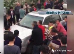 合力吃瓜,揭秘娱乐圈幕后风云