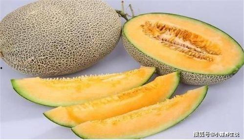 芭比直播吃哈密瓜,甜蜜哈密瓜之旅