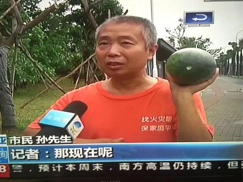 长沙吃瓜热门事件,一场网络热议背后的真相揭秘