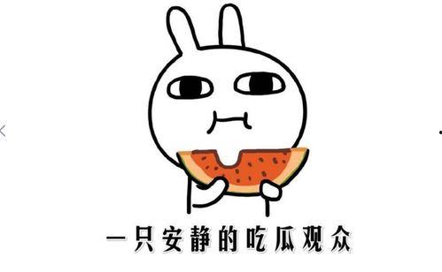 吃瓜那些事儿,吃瓜那些事儿背后的真相与内幕