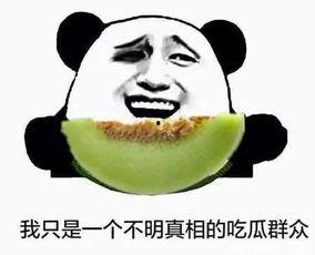 吃瓜群众等等我,事件发展，真相揭晓