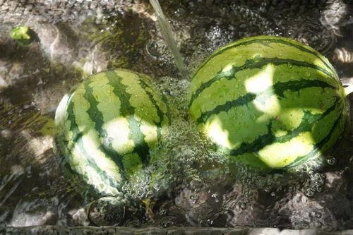 神秘的吃瓜,揭秘背后惊人真相